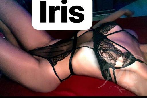 IRIS 3