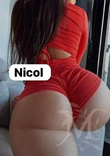 Nicol Italiana 2